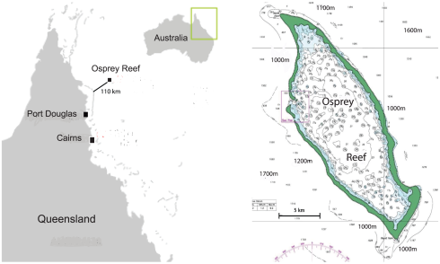 5 Osprey_Reef_map